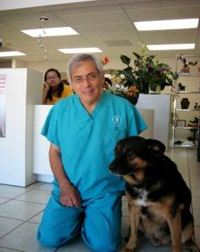 Firestone Animal Hospital | 7539 Firestone Blvd, Downey, CA 90241 | Phone: (562) 928-1341