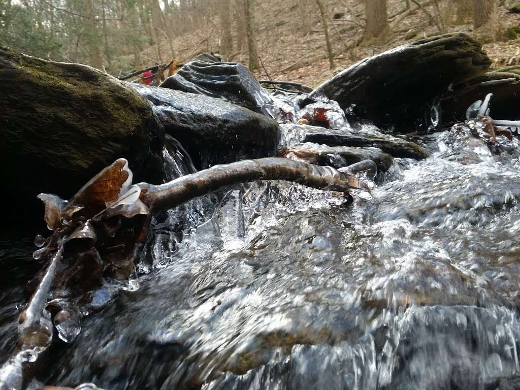 Climbers Run Nature Preserve | 226 Frogtown Rd, Pequea, PA 17565, USA