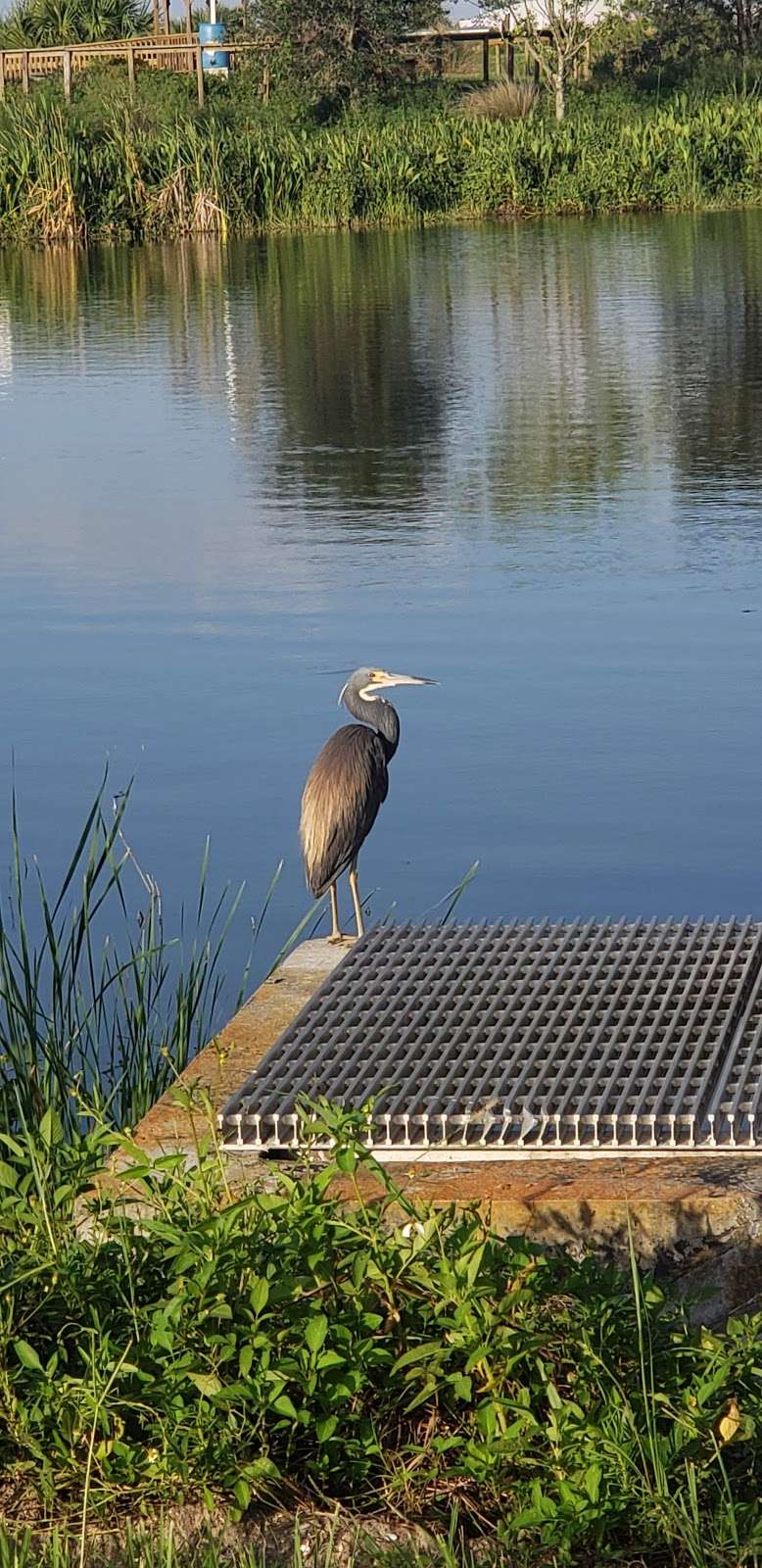 Ritch Grissom Memorial Wetlands | 3658 Charlie Corbeil Way, Viera, FL 32940, USA | Phone: (321) 637-5521
