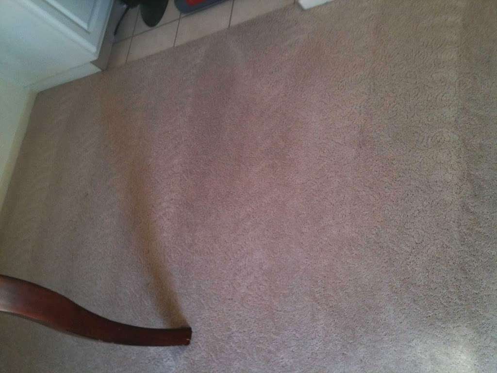 Mira Loma Carpet Cleaning | 5871 Bain St, Mira Loma, CA 91752 | Phone: (951) 888-1238