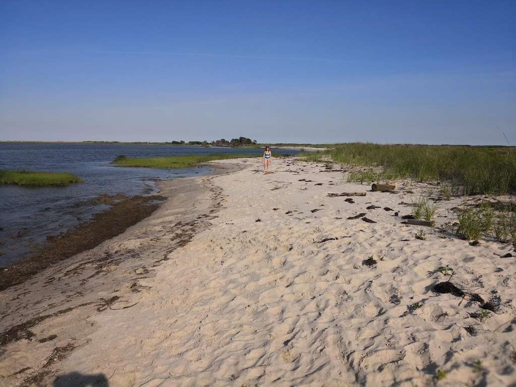 Dameron Marsh Natural Area Preserve | Kilmarnock, VA 22482, USA | Phone: (804) 786-7951