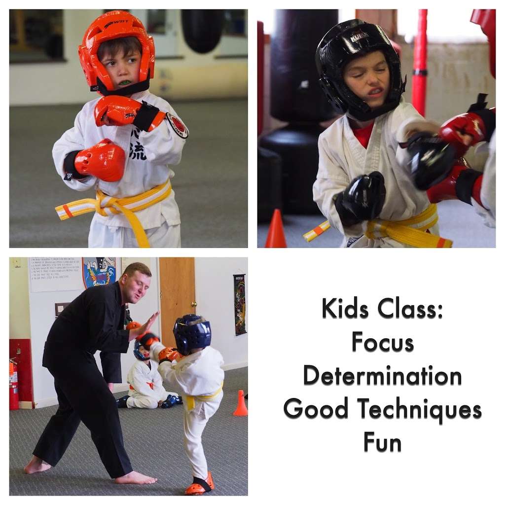 Dillsburg Karate Academy | 220 S 2nd St, Dillsburg, PA 17019, USA | Phone: (717) 432-7799