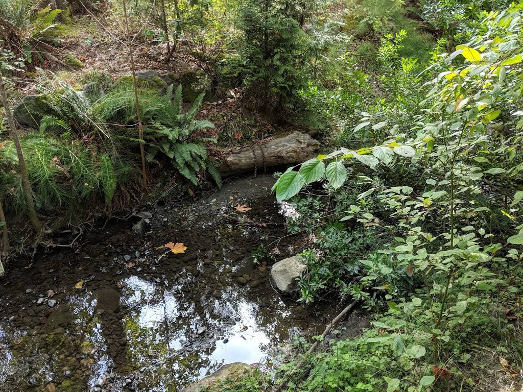 Idylwood Park | 3650 West Lake Sammamish Pkwy NE, Redmond, WA 98052, USA | Phone: (425) 556-2300