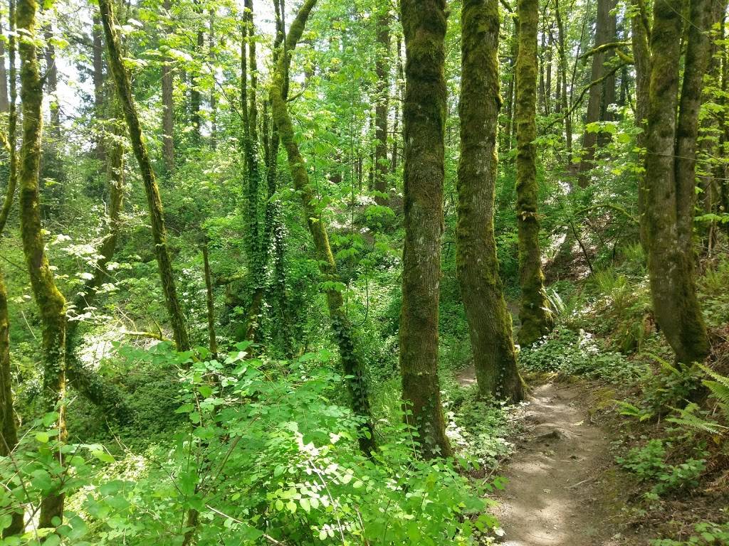 Marquam Nature Park | Main entrance:, SW Marquam St, Portland, OR 97201, USA | Phone: (971) 599-3667