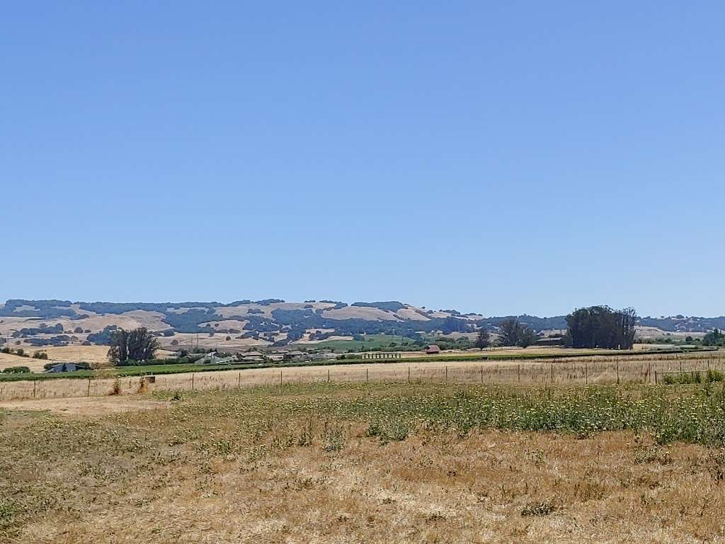 Wiseman Park | St Augustine Cir, Petaluma, CA 94954, USA | Phone: (707) 778-4380