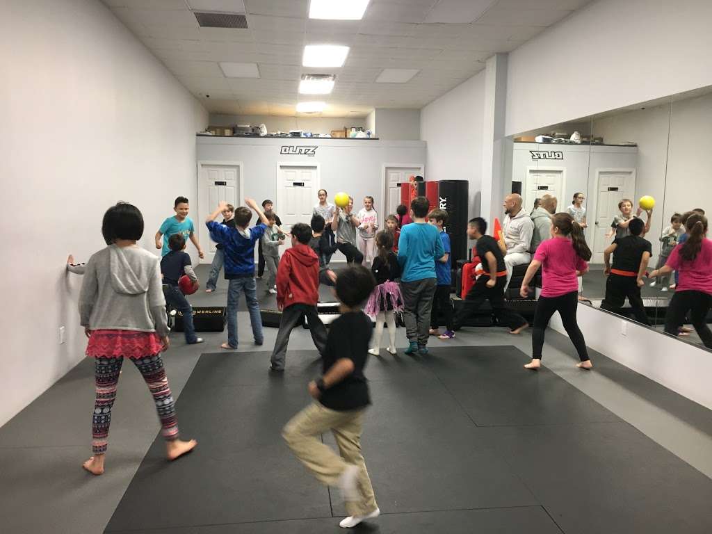 Blitz Dojo Martial Arts and Fitness | 412 Church Ave, Brooklyn, NY 11218, USA | Phone: (718) 851-2425