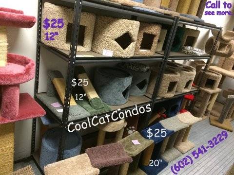 Cool Cat Condos | 2625 E Greenway Pkwy suite 103, Phoenix, AZ 85032, United States | Phone: (602) 541-3229