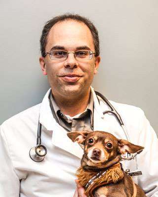 Animal Cancer Care Specialists | 3 Cobbetts Pond Rd, Windham, NH 03087, USA | Phone: (978) 577-4848