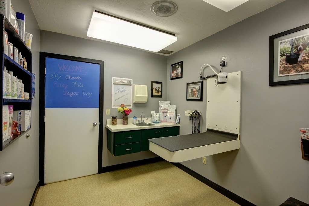 Maricamp Animal Hospital | 4485 SE 53rd Ave, Ocala, FL 34480, USA | Phone: (352) 624-0300