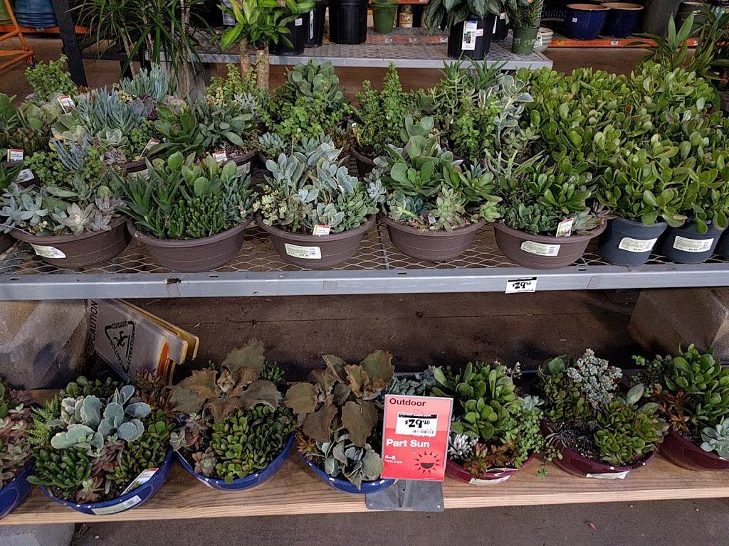 Garden Center at The Home Depot | 12721 Atlantic Blvd, Jacksonville, FL 32225, USA | Phone: (904) 220-0822