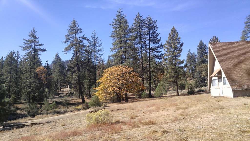 Bethany Pines Campground | 11157 Cuddy Valley Rd, Frazier Park, CA 93225, USA