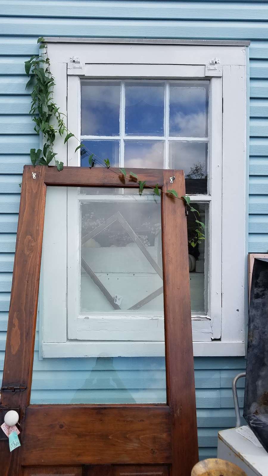 Pink Cabbage | 11707 Frederick Rd, Ellicott City, MD 21042, USA | Phone: (410) 531-7953