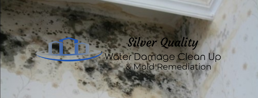 Silver Quality Water Damage Clean Up & Mold Remediation | 2504 Teasley St, La Crescenta-Montrose, CA 91214, USA | Phone: (818) 658-3836