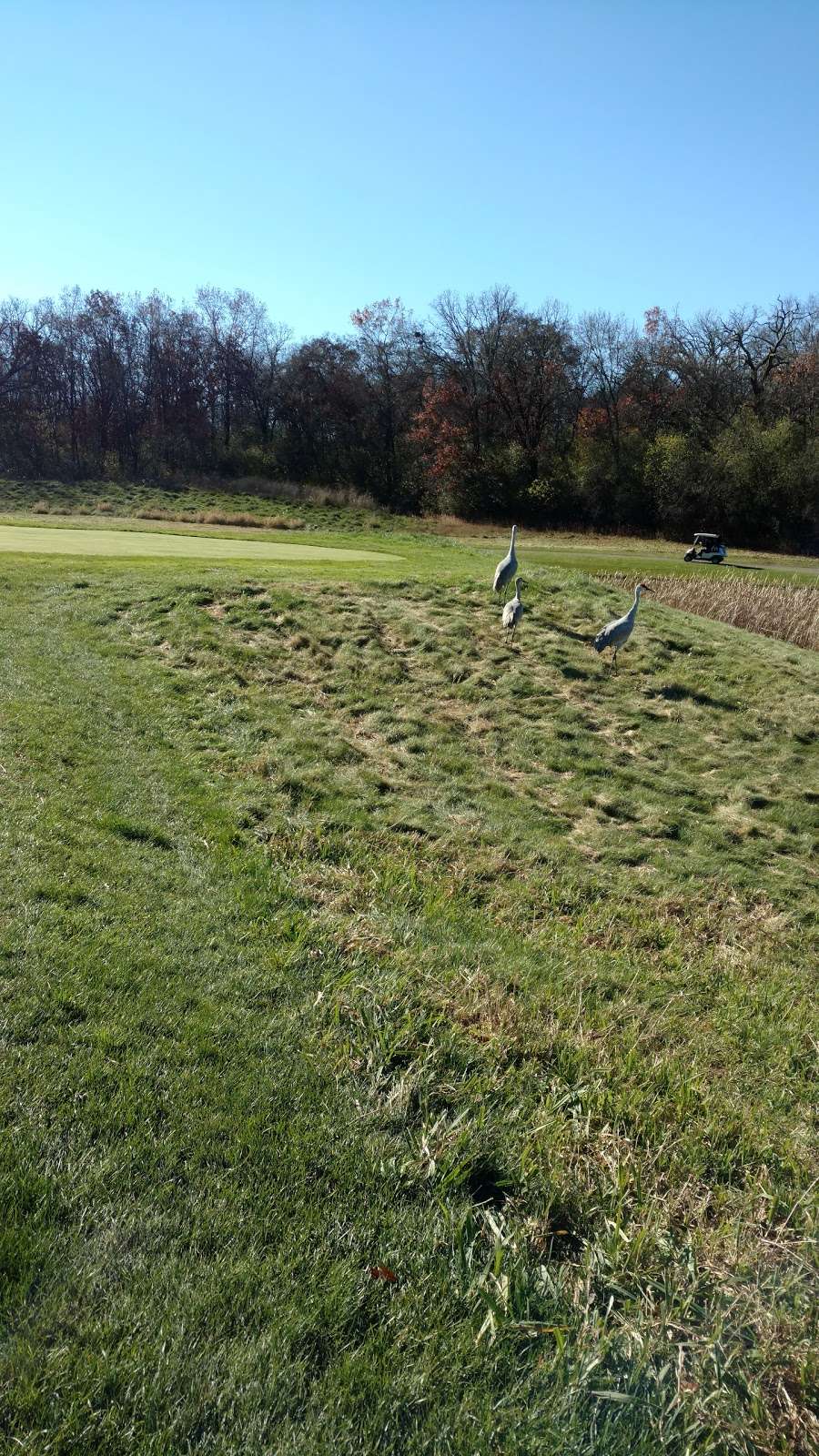 Stonewall Orchard Golf Club | 25675 IL-60, Grayslake, IL 60030, USA | Phone: (847) 740-4890