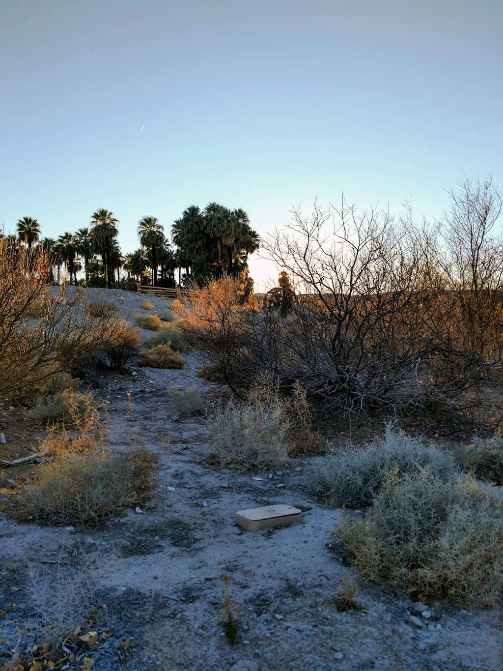 Warm Springs Natural Area | 4240 Warm Springs Rd, Moapa, NV 89025, USA | Phone: (702) 865-2919