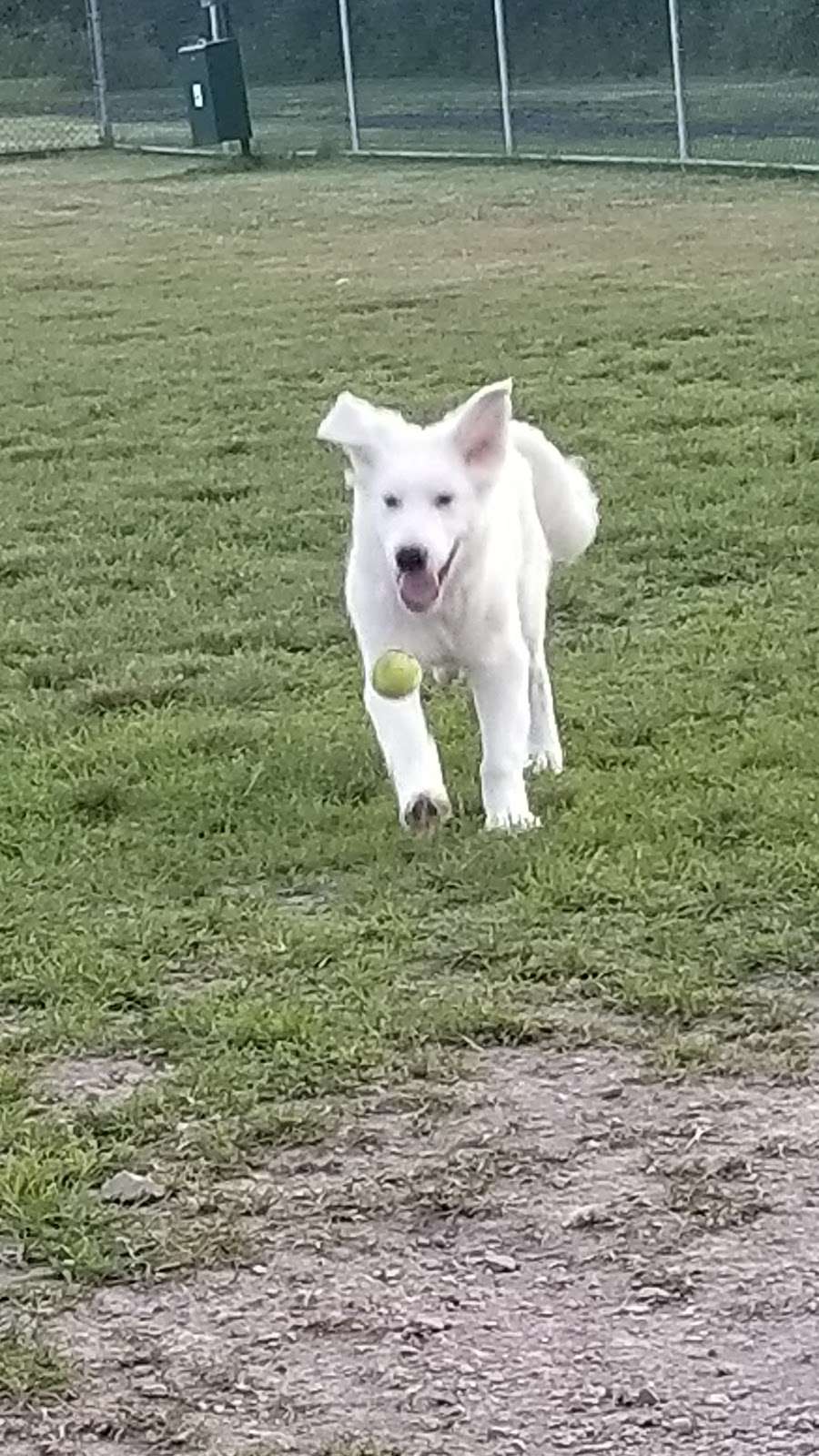 Cuddy Dog Park | Colonial Dr, Perkiomenville, PA 18074, USA