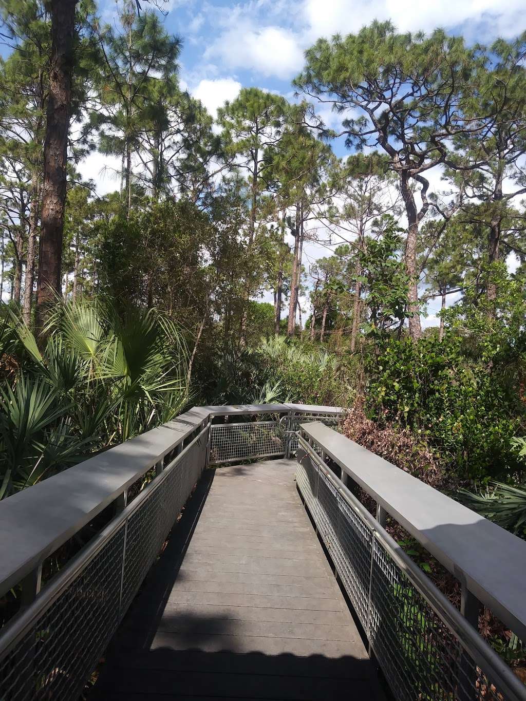 Saw Palmetto Natural Area | 7097 NW 71st St, Coconut Creek, FL 33073, USA | Phone: (954) 357-5100