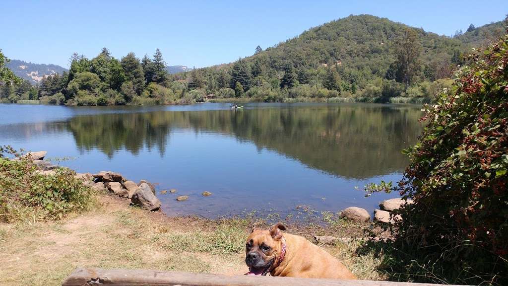 Spring Lake Park Group Campground | Unnamed Road, Santa Rosa, CA 95405, USA