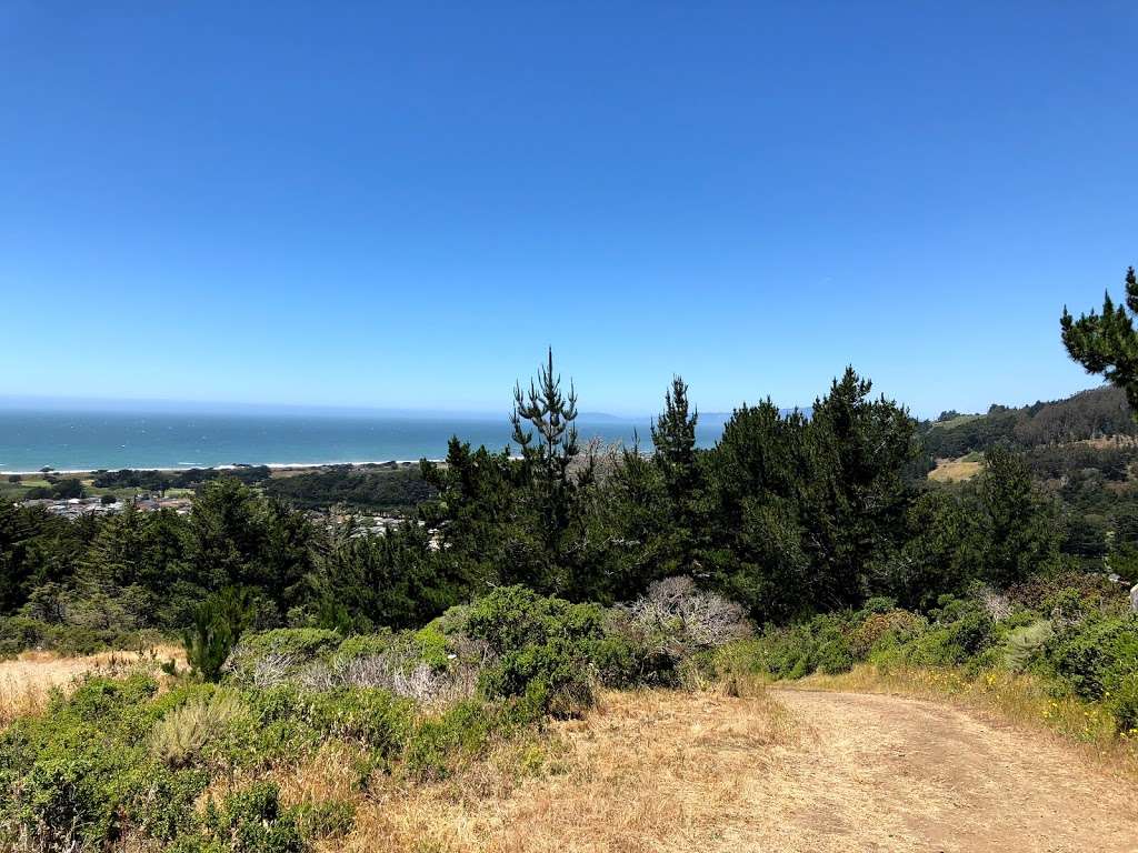 Mori Ridge Trail Trailhead | Mori Ridge Rd, Pacifica, CA 94044, USA