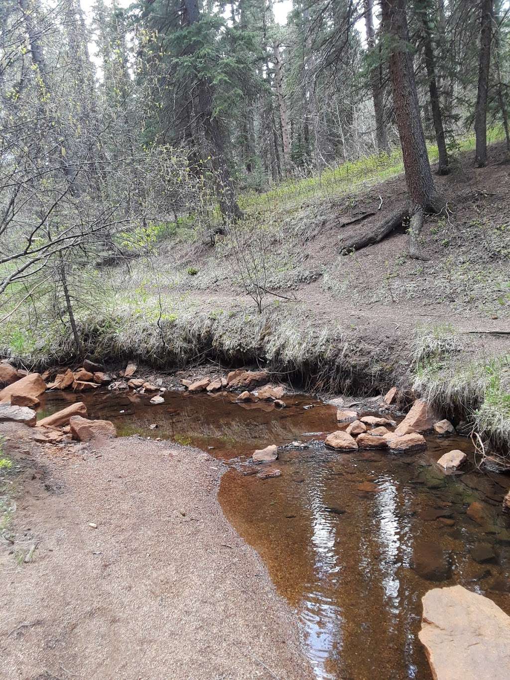 Green Mountain Campground | 20950 S Buffalo Creek Rd, Pine, CO 80470, USA