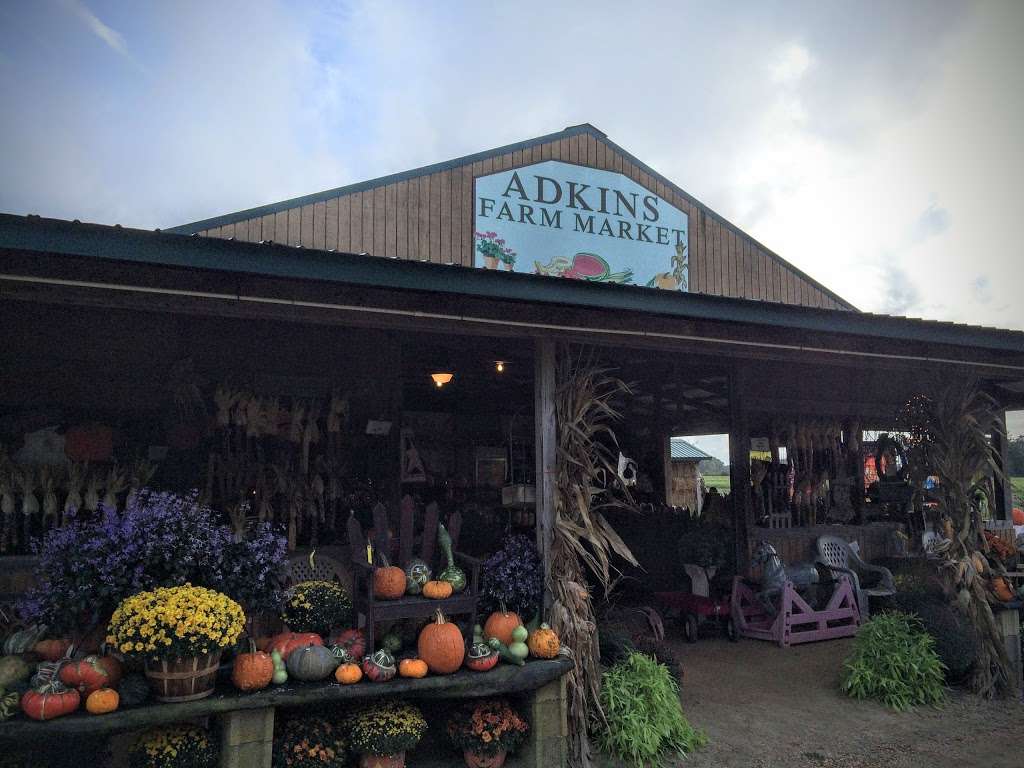 Adkins Farm Market | 31493 Mt Hermon Rd, Salisbury, MD 21804, USA | Phone: (410) 548-1478