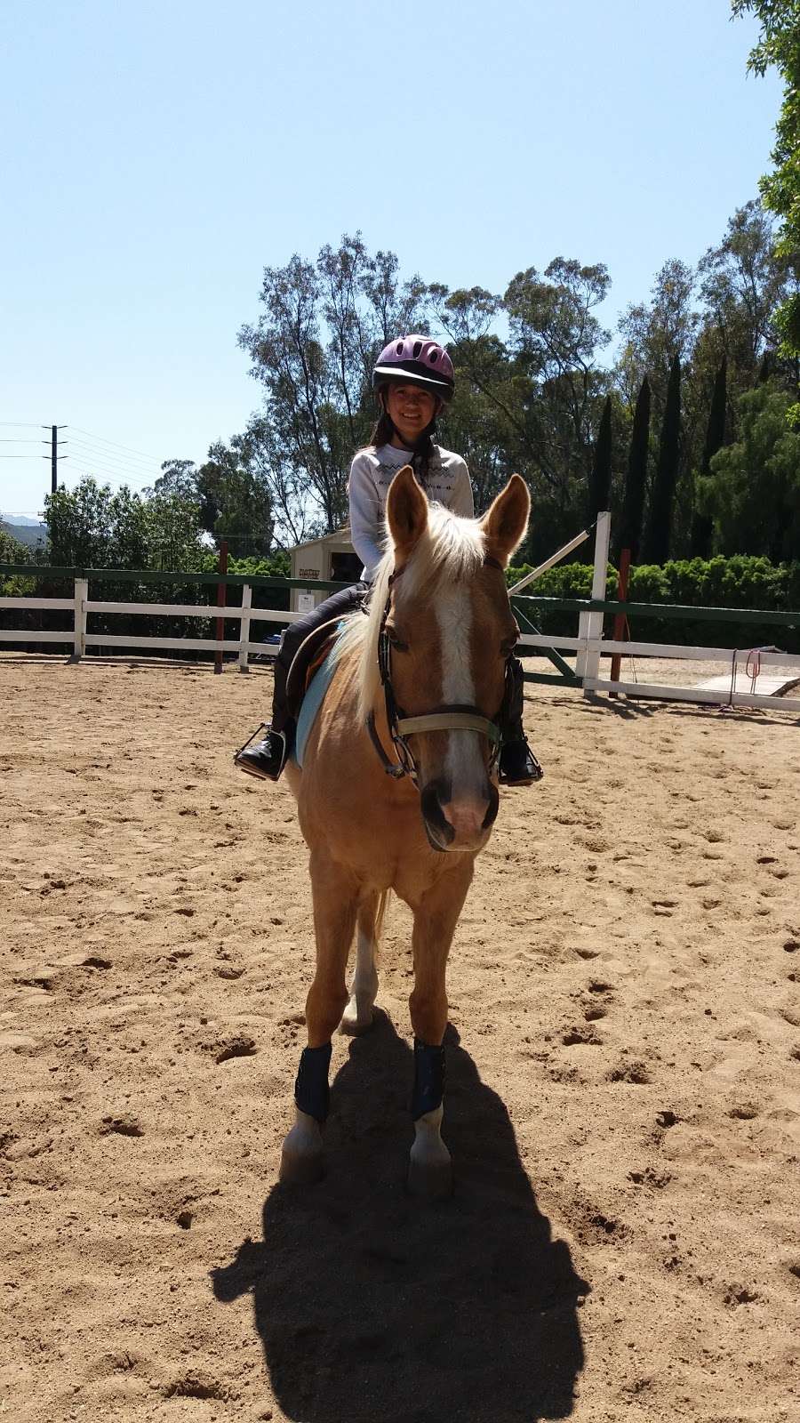 Glory Reins Riding School | 1455 Tierra Rejada Rd, Simi Valley, CA 93065, USA | Phone: (818) 282-3707