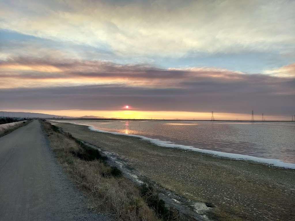 Stevens Creek Shoreline Nature Study Area | Mountain View, CA 94043, USA