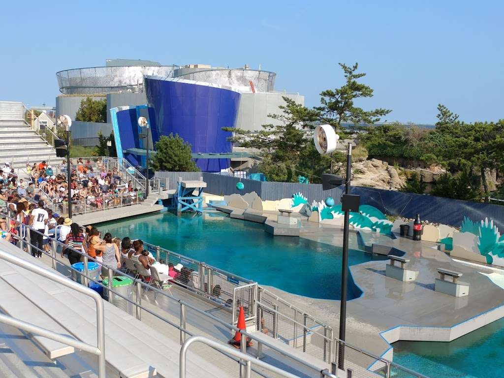 New York Aquarium | 602 Surf Ave, Brooklyn, NY 11224, USA | Phone: (718) 265-3474