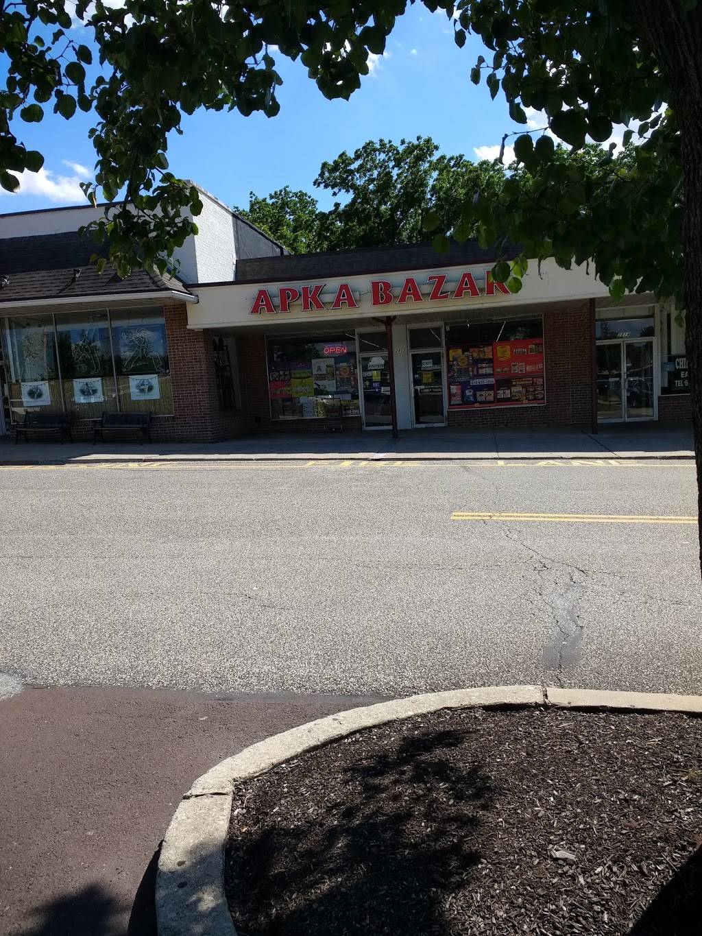 Apka Bazar | 2812 Audubon Village Dr, Norristown, PA 19403, USA | Phone: (610) 635-1550