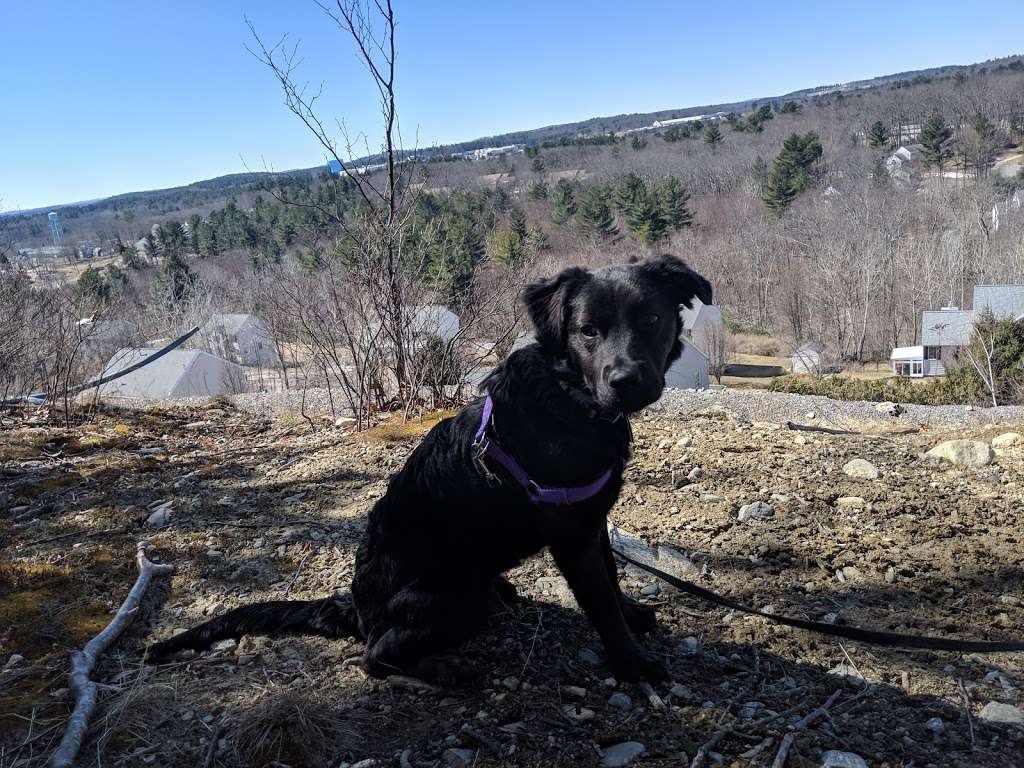 Danforth Falls Trailhead | 01749, Hudson, MA 01749, USA