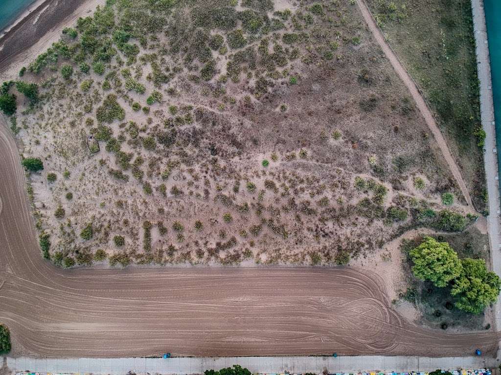 Loyola Dune Habitat | Chicago, IL 60626, USA