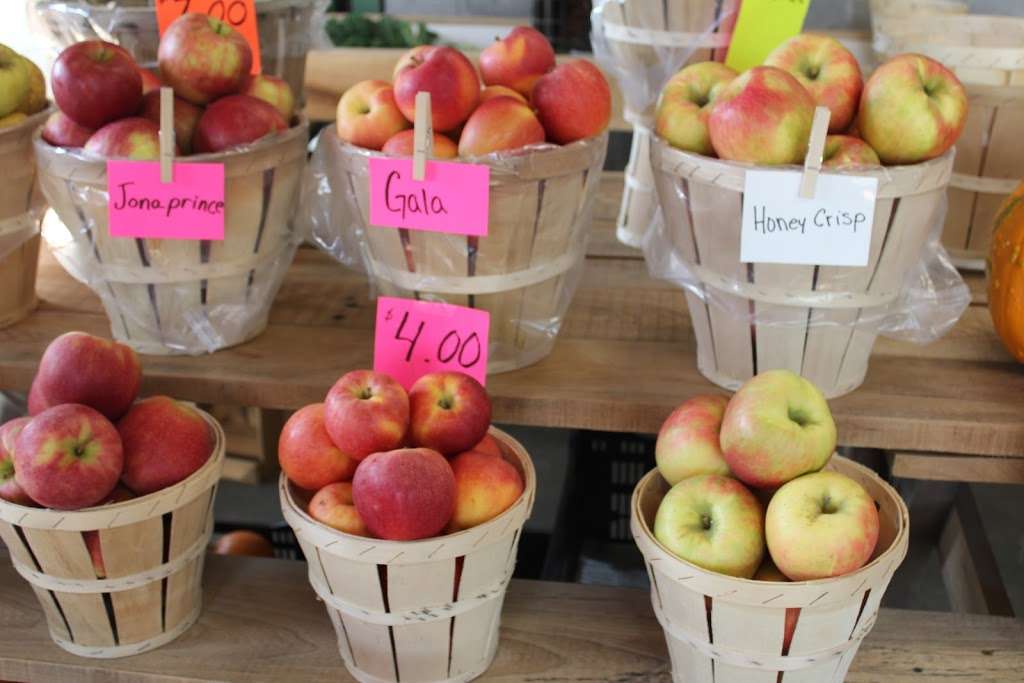 Mountain Top Orchard & Produce | 7123 Division Hwy, Narvon, PA 17555, USA | Phone: (717) 354-4494