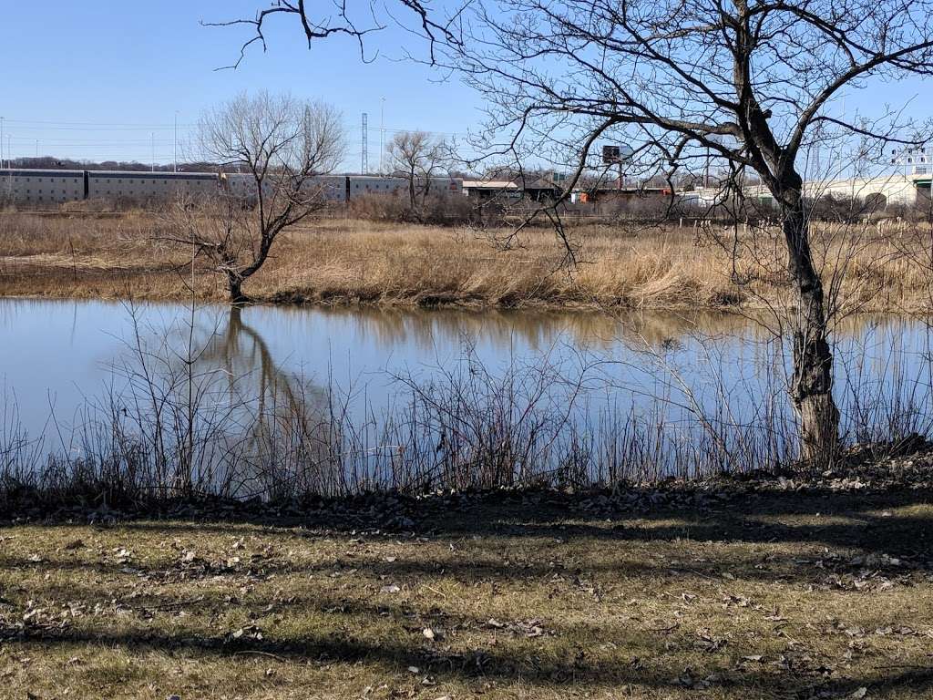 Santa Fe Prairie Nature Preserve | 7300 River Rd, Hodgkins, IL 60525