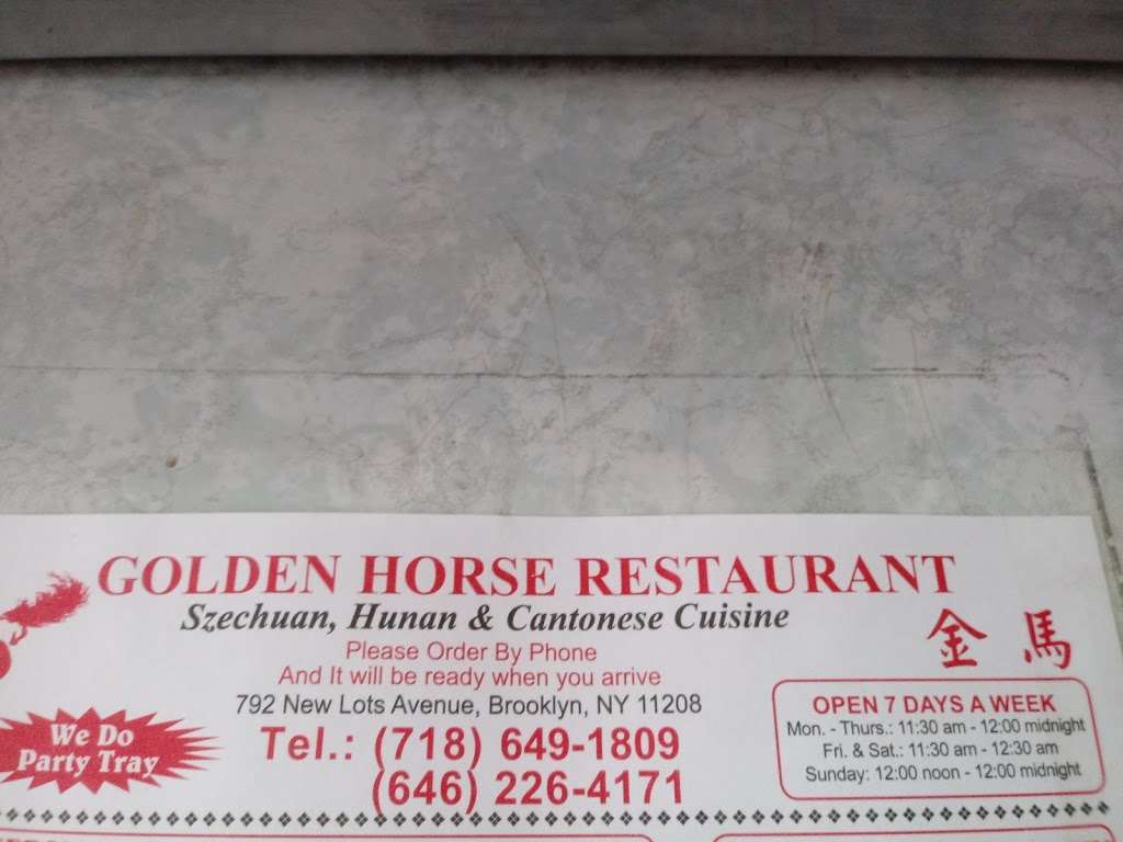 Golden Horse | 792 New Lots Ave, Brooklyn, NY 11208, USA | Phone: (718) 649-1809