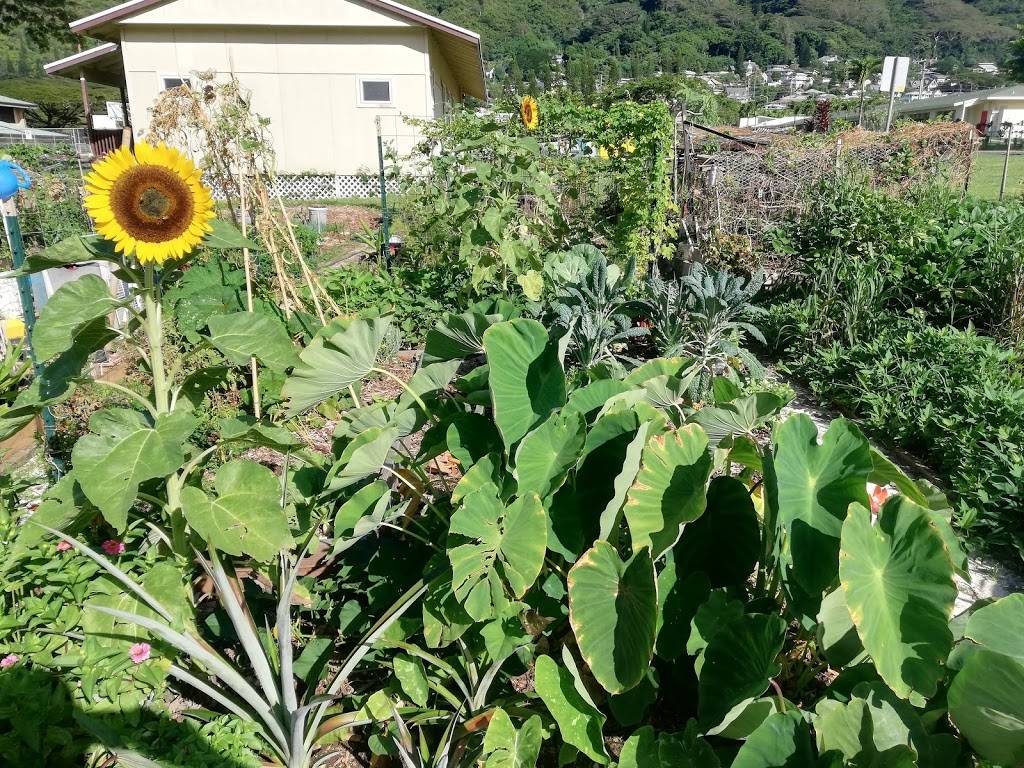 Mānoa Community Garden | Olopua St, Honolulu, HI 96822, USA | Phone: (808) 522-7063