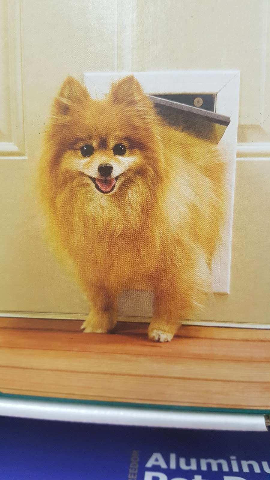 PetSmart | 6345 Garth Rd Suite 140, Baytown, TX 77521, USA | Phone: (346) 216-3983