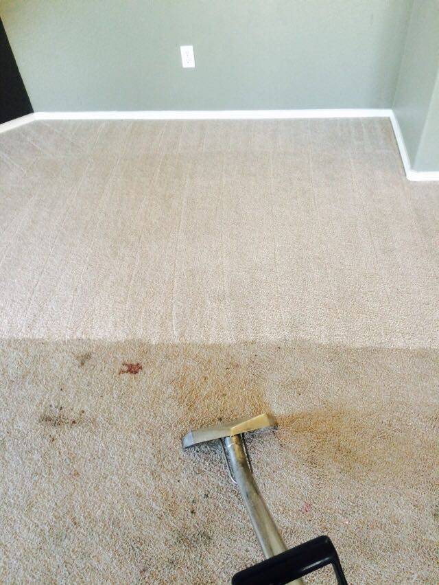 Robinson Renew Carpet Tile & Window Cleaning | 15361 Virginia Ave Unit 2043, Goodyear, AZ 85395 | Phone: (602) 432-5095