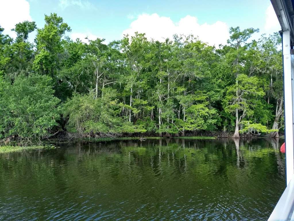 Blue Heron River Tours Inc | 2999 West, FL-44, DeLand, FL 32720, USA | Phone: (386) 873-4843