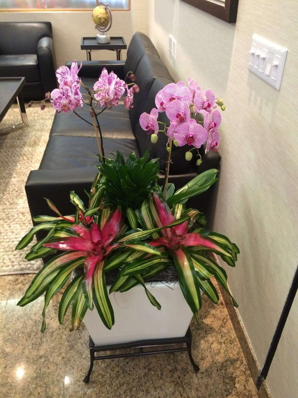 Palm Beach Orchids | 7401 Tropical World Way, Boynton Beach, FL 33437, USA | Phone: (561) 472-4197