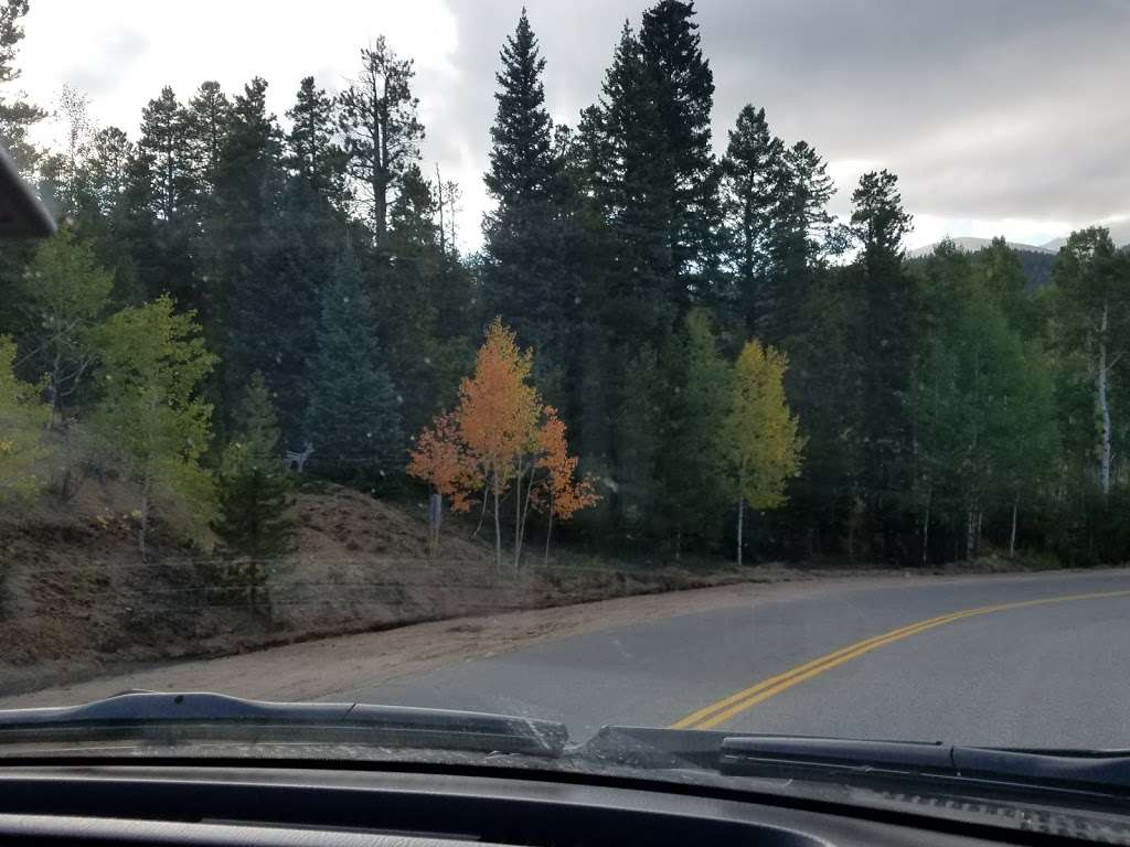 Charmetella Park | 444 P 69 Rd, Bailey, CO 80421, USA Charmetella Park | 444 P 69 Rd, Bailey, CO 80421, USA