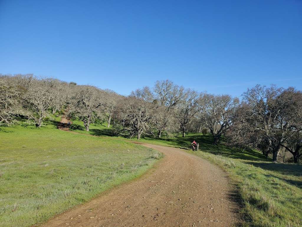 Ridgeline Trail | Ridgeline Trail, Pleasanton, CA 94588, USA