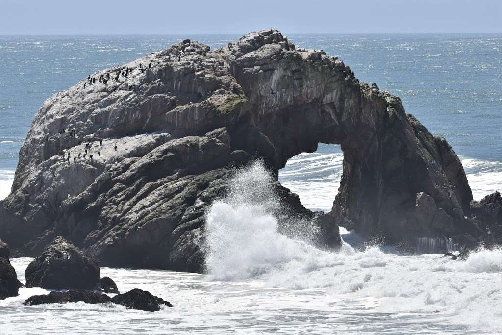 Camera Obscura | 1096 Point Lobos Ave, San Francisco, CA 94121, USA | Phone: (415) 750-0415