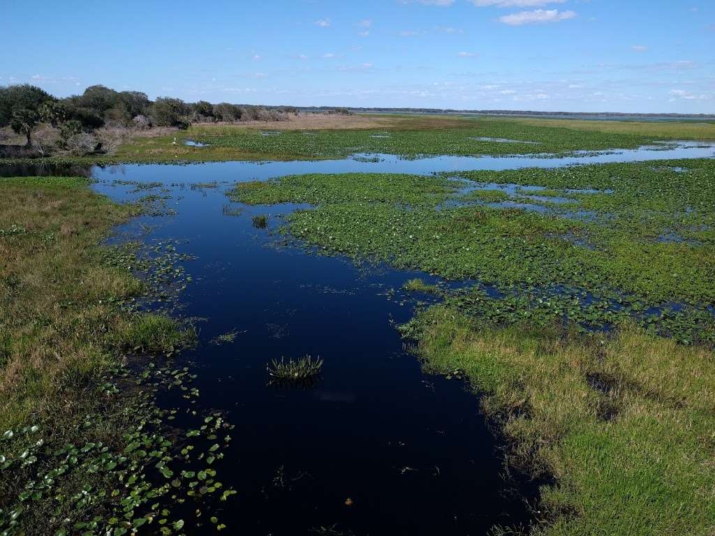 Three Lakes Wildlife Management Area | 1231 Prairie Lakes Rd, Kenansville, FL 34739, USA | Phone: (352) 732-1225