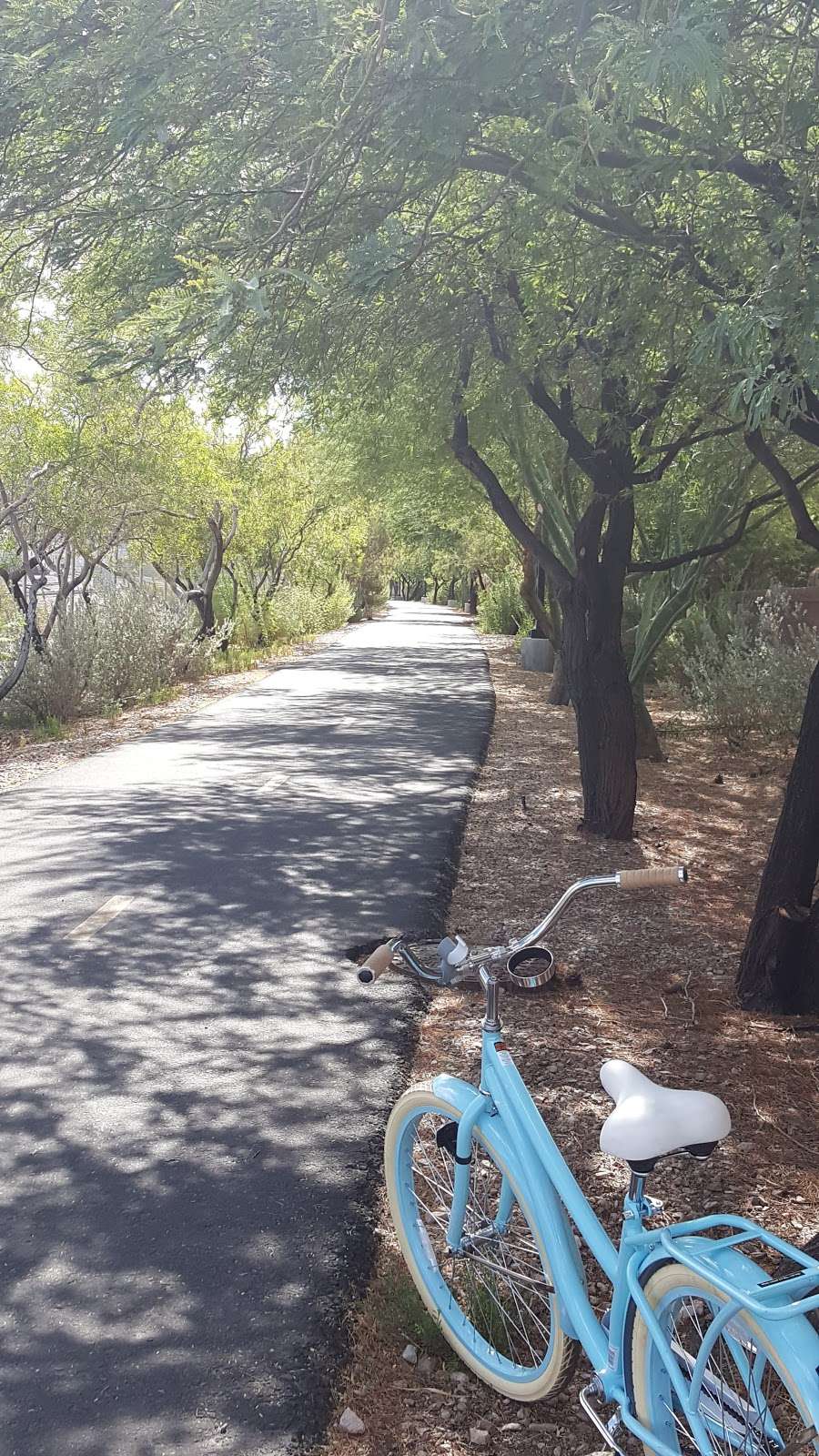 Union Pacific Trailhead | Union Pacific Railroad Trail, Henderson, NV 89015