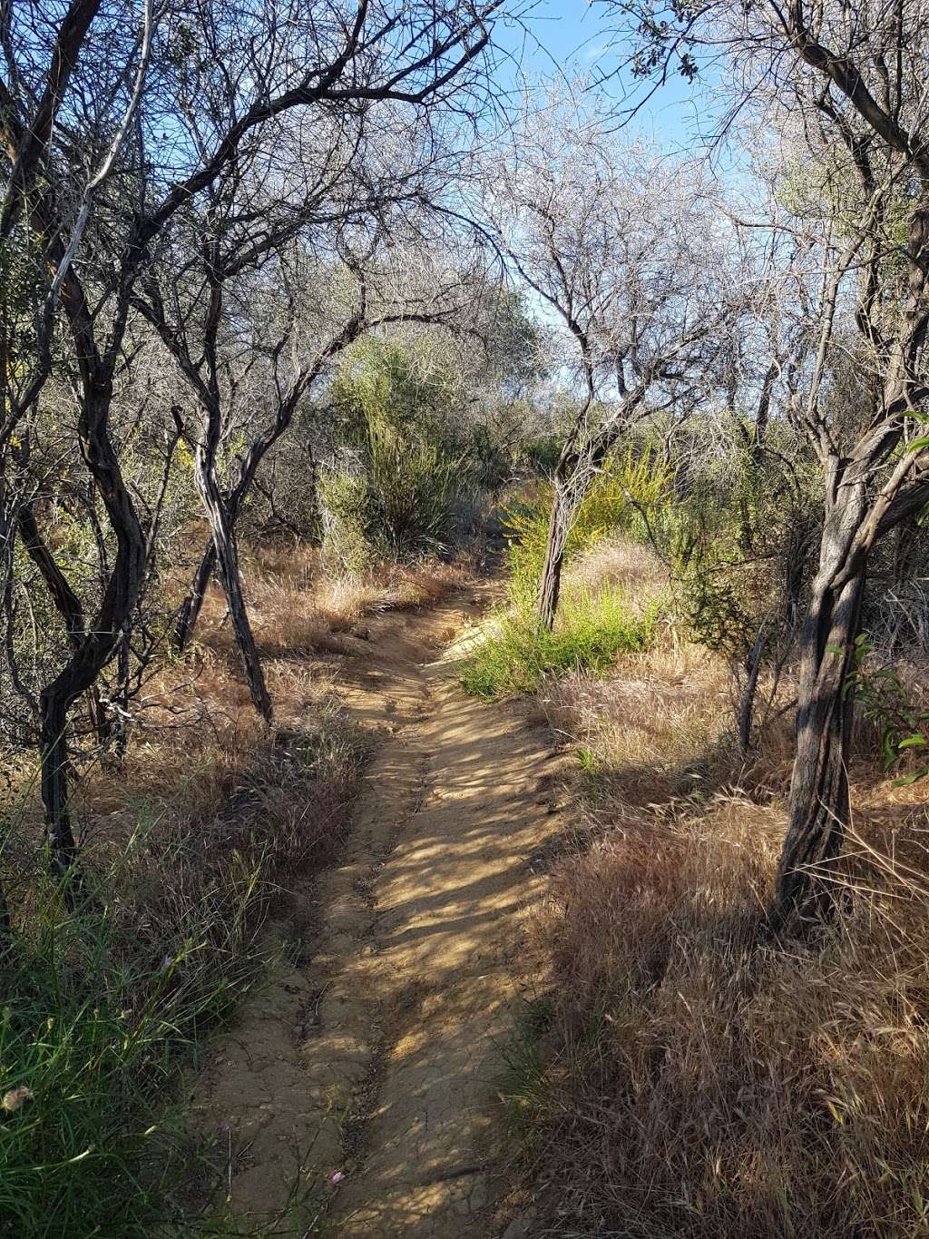 El Medio Trail Bench | El Medio Trail, Pacific Palisades, CA 90272, USA