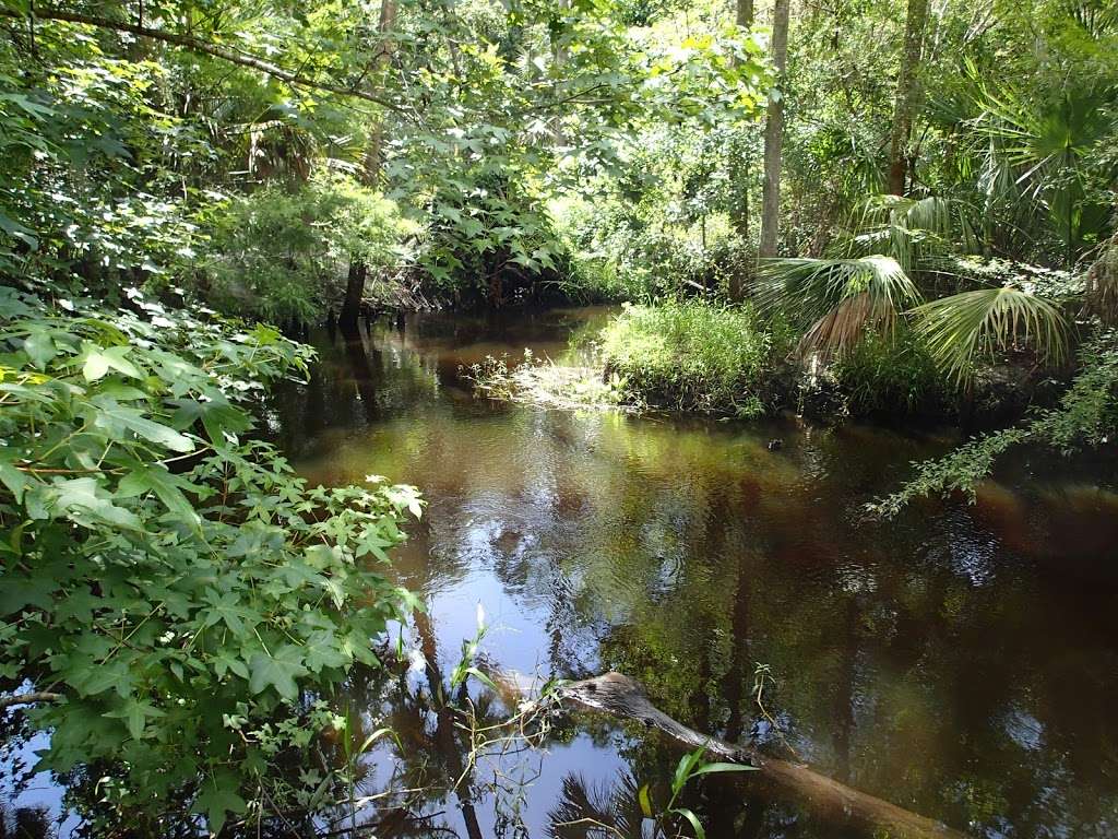 Bear Creek Nature Trail | 1555 Winter Springs Blvd, Winter Springs, FL 32708