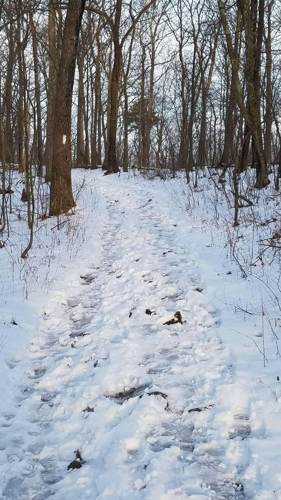 Appalachian Trail - Fox Gap | Appalachian Trail, Bangor, PA 18013