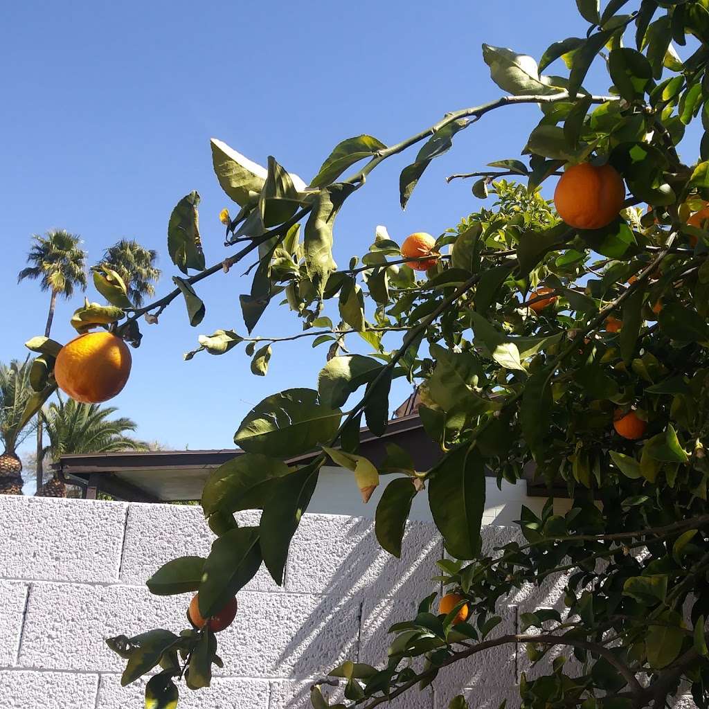 Crossed Arrows Park | 6102 E Acoma Rd, Scottsdale, AZ 85254, USA | Phone: (602) 262-6696