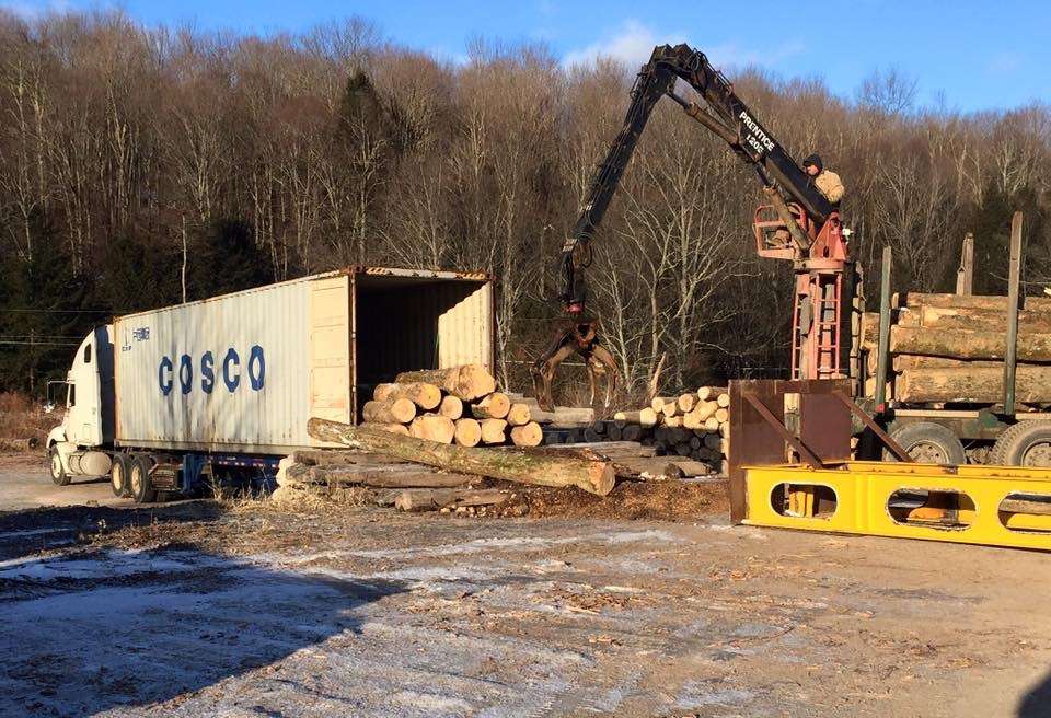Independence Timber Company Inc. | 1577 PA-106, Clifford, PA 18413, USA | Phone: (570) 222-9651