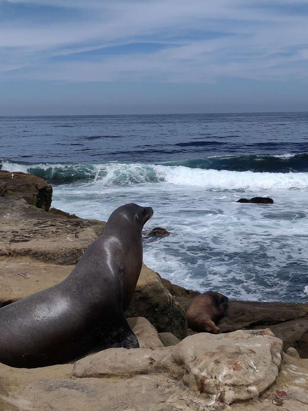 South Boundary Of Matlahuayl MPA | 1160 Coast Blvd, La Jolla, CA 92037, USA